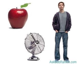 Apple Fan Boy