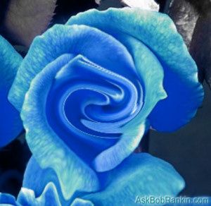 online photo editing