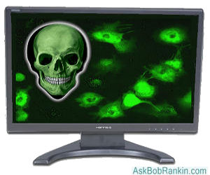 computer virus