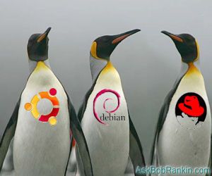 Which Linux Version?