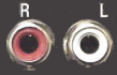 RCA audio input