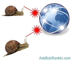 Snails attack the internet!