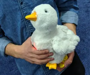 Aflac Cancer Duck