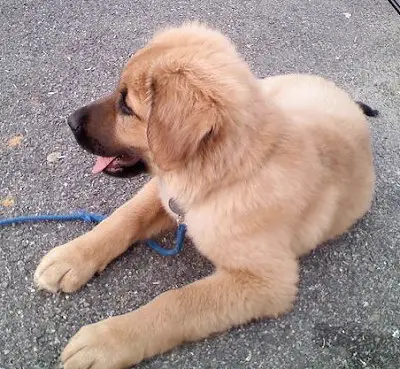 Bonzai at 3 months