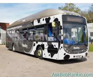 Cow Poo Bus