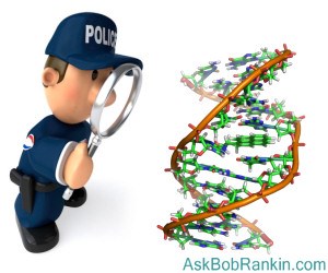 Online DNA search