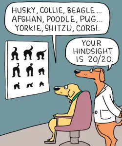 Dog Eye test