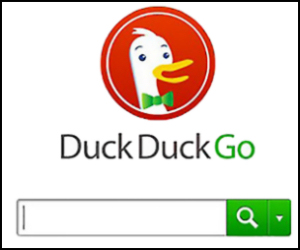 duckduckgo search box