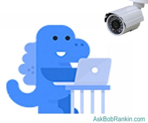 Facebook Privacy Dinosaur