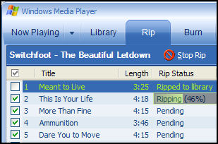 windows media player