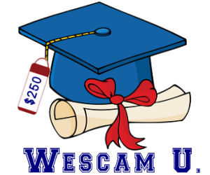 Online College Scams