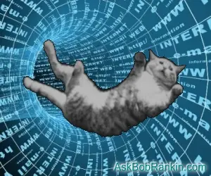 The Quantum Internet and Falling Cats