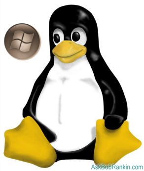 Switching from Windows to Linux
