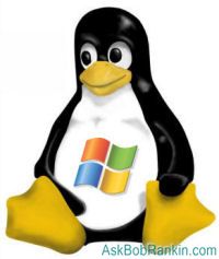 Running Windows on Linux